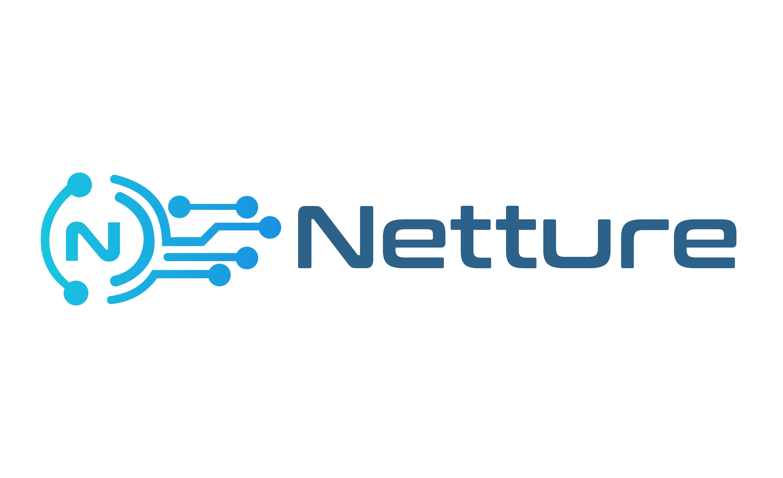Netture logo